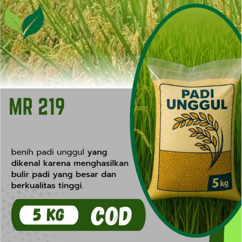 benih padi MR 219 kemasan 5 kg