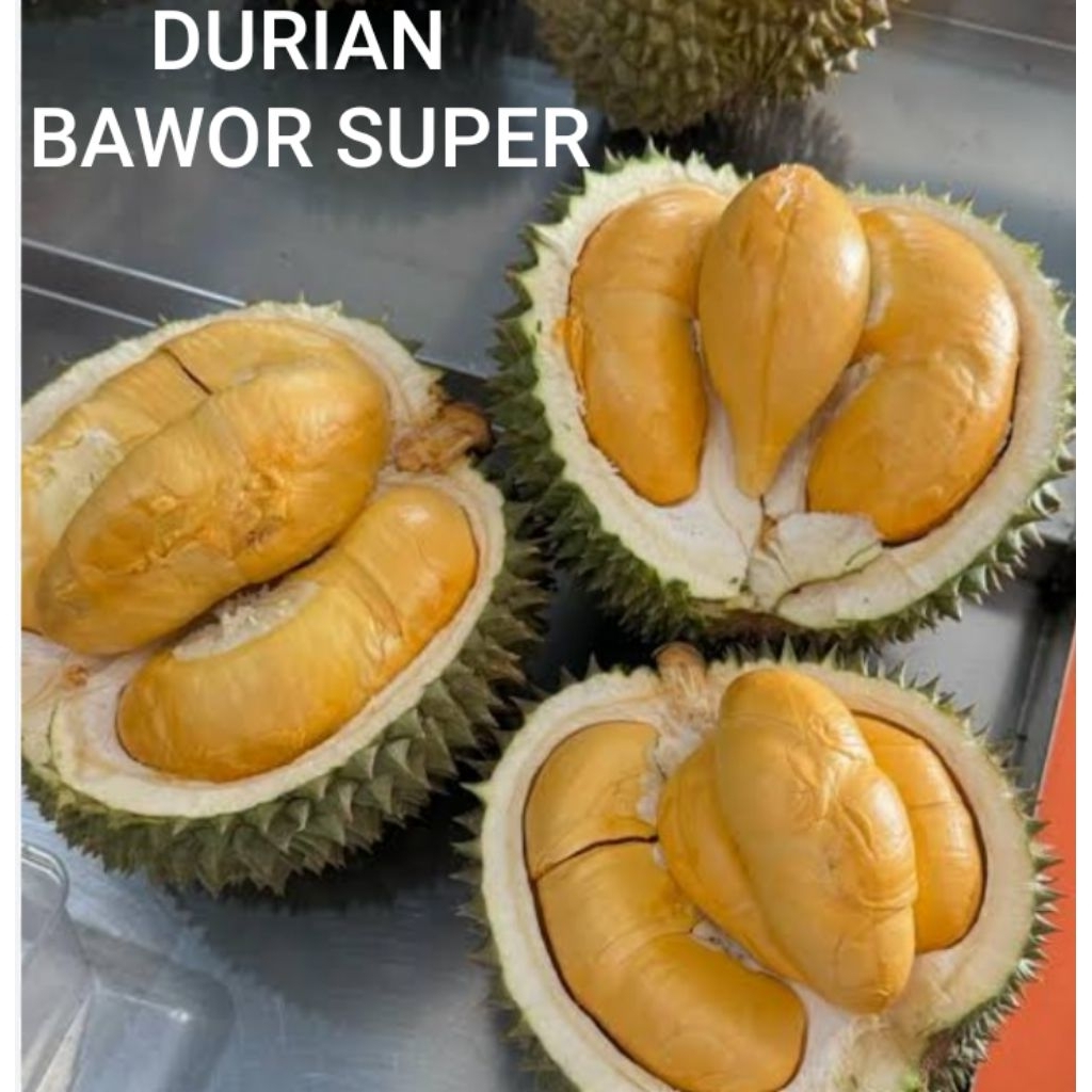 GARANSI..!!! BUAH DURIAN BAWOR SUPER UTUH FRESH MANIS LEGIT / PAKET 3 BAWOR SUPER