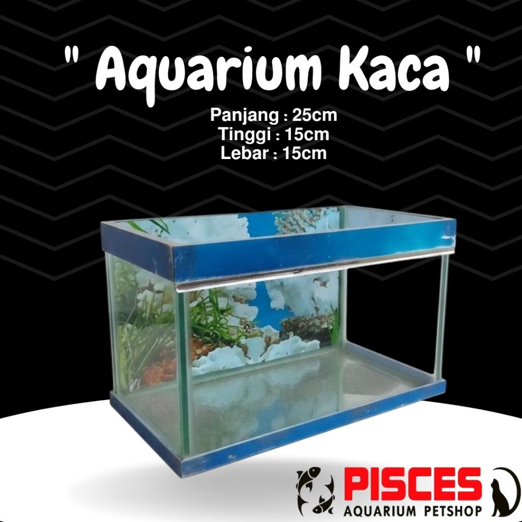 Aquarium Kaca Mini INSTANT ONLY