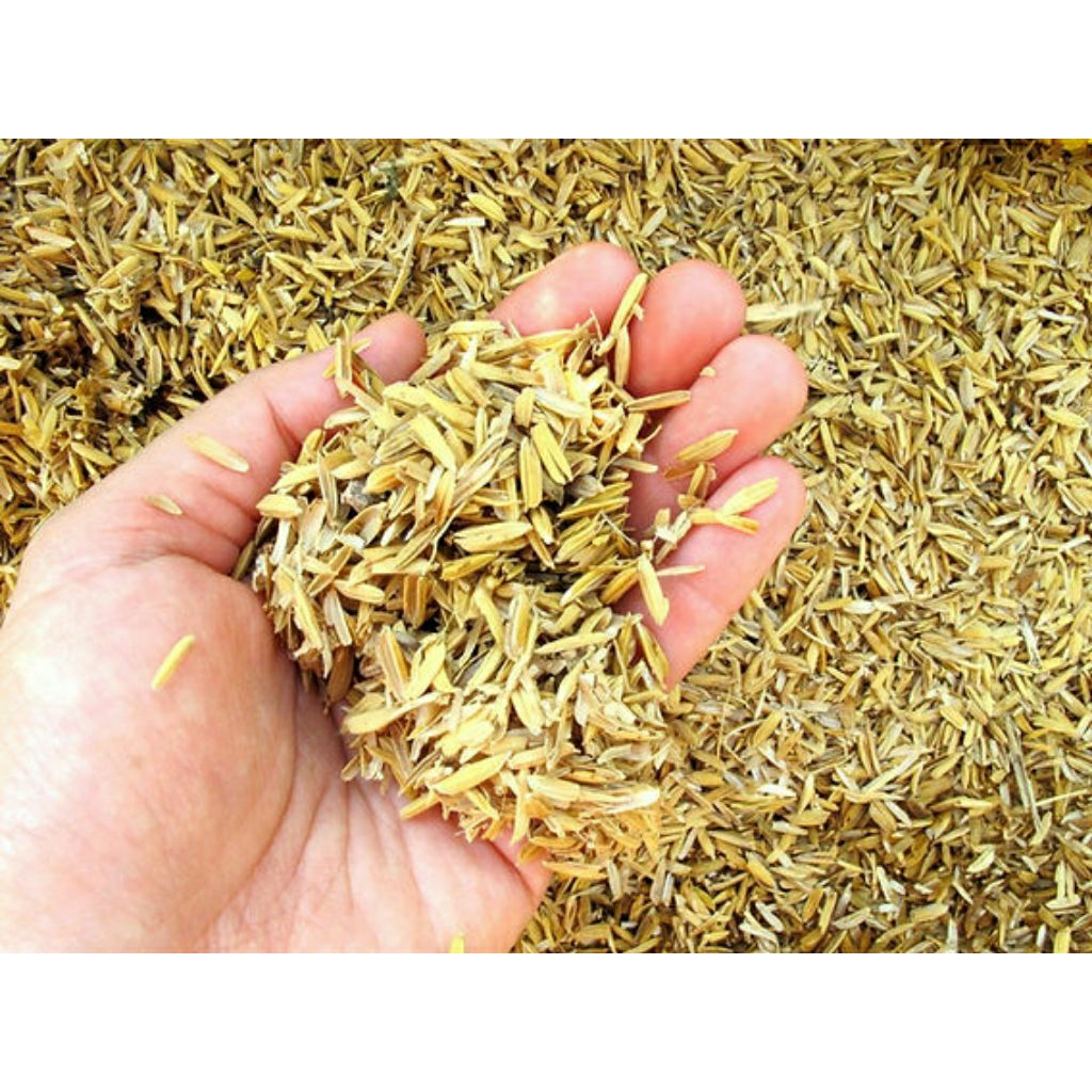 sekam padi mentah ( karung 50 KG)