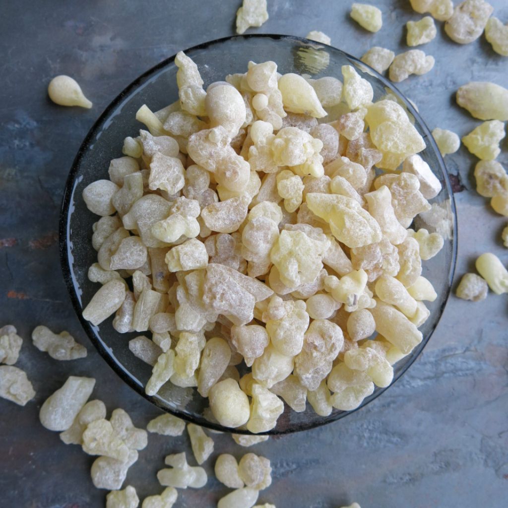 luban dakar mustaki menyan putih menyan arab