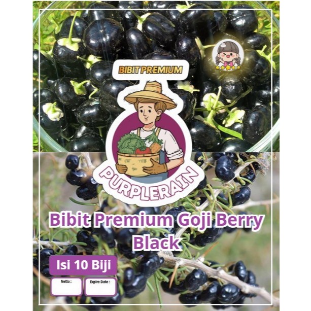 Bibit Premium Goji Berry Black | Biji Benih Goji Berry Hitam | Wolfberry Hitam