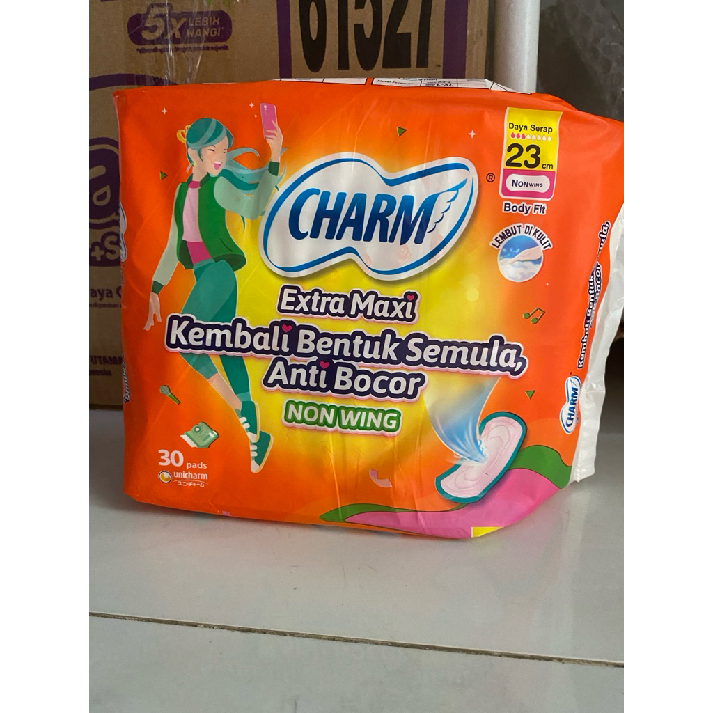 charm anti bocor isi 30pcs