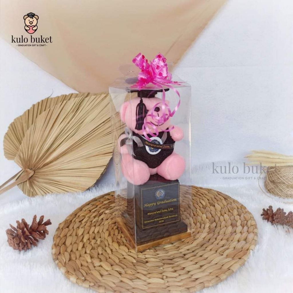 Boneka Wisuda|Piala Wisuda|Sovenir Wisuda TK|Tedy Beard