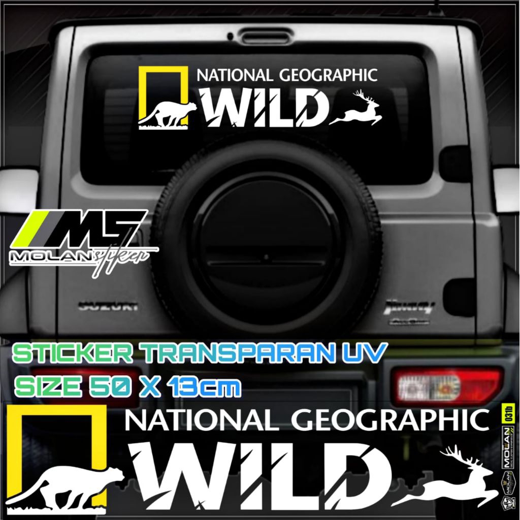 Sticker Transparan Uv Kaca Kabin Kap Bak Mobil Nat Geo Wild 50x13 Sticker Universal Semua Mobil Truc