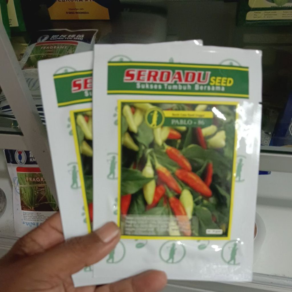PABLO - 86 benih cabai rawit unggul 10gr