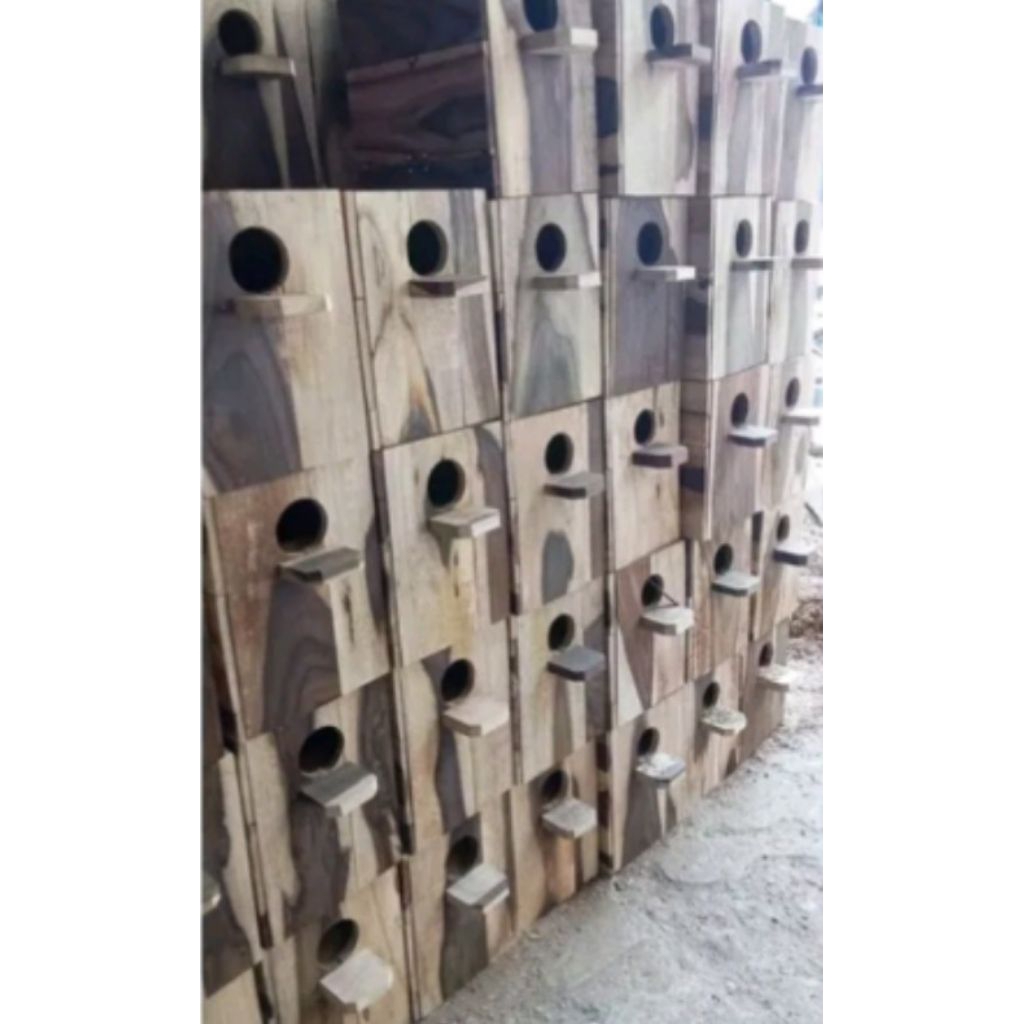 Glodok Lovebird Pintu Samping dan Depan Sonokeling