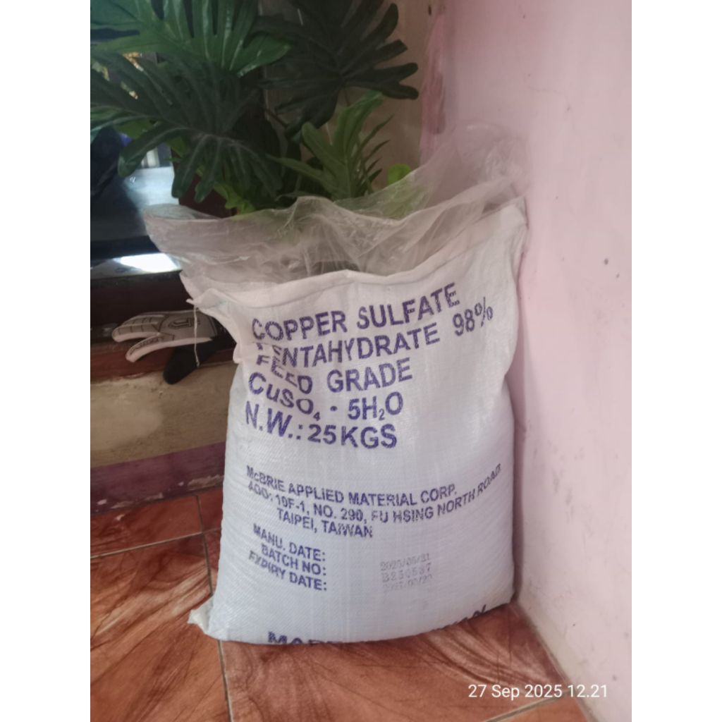 penjernih kolam renang trusi terusi 25kg