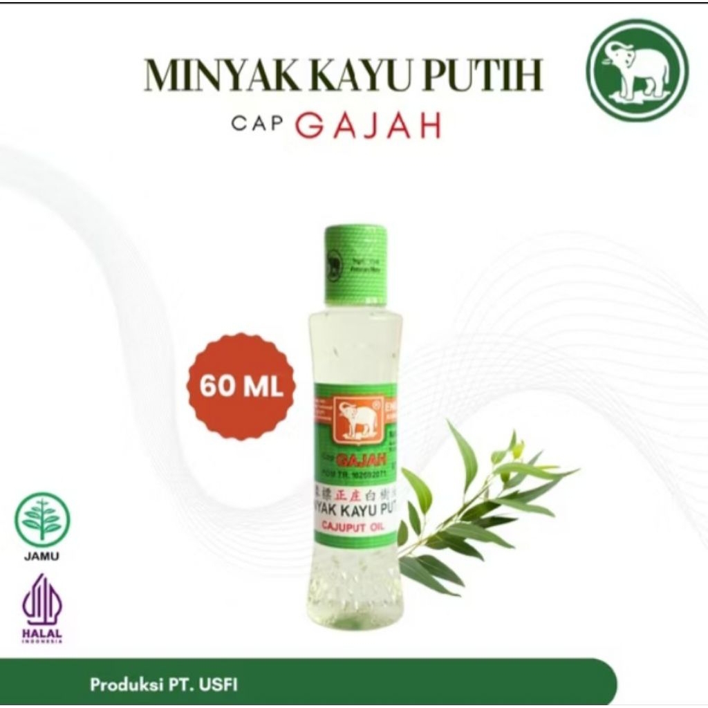 Minyak kayu putih cap gajah 60ml | Minyak kayu putih
