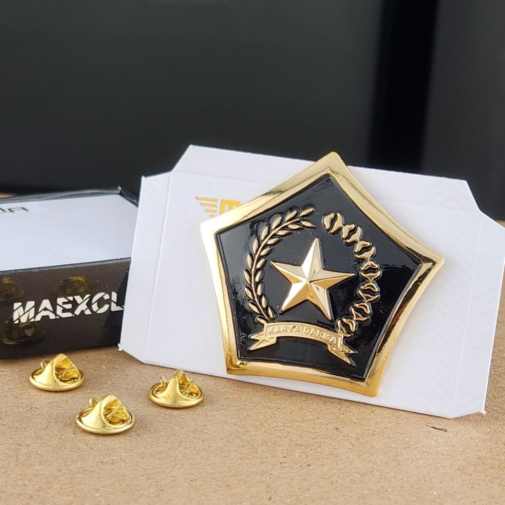 EMBLEM VETERAN BREVET BRIVET VETERAN PIN