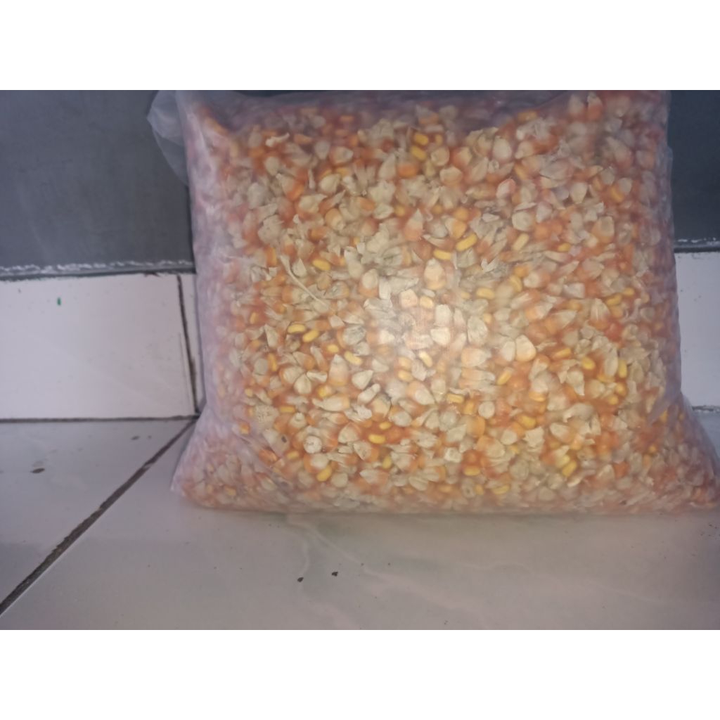 JAGUNG PIPIL / GILING pakan ternak terbaik