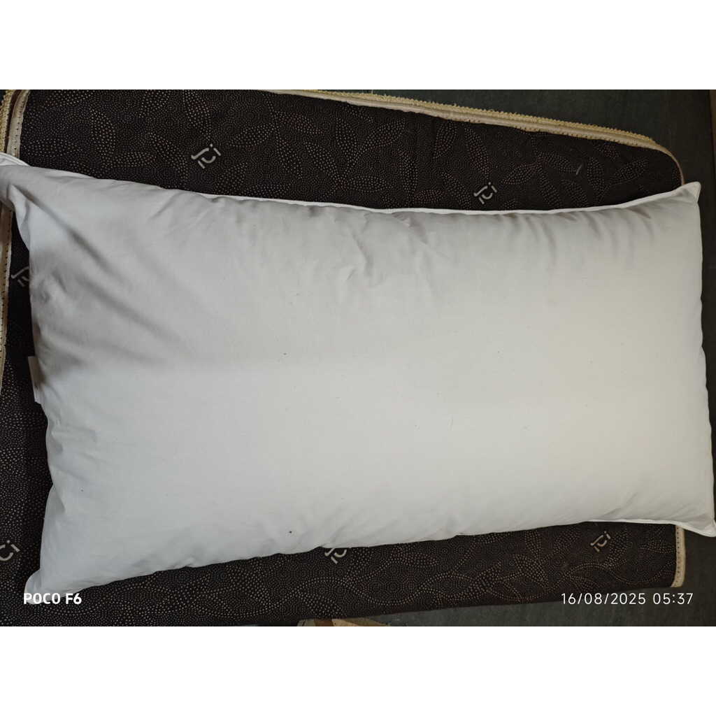 Bantal King Koil Goose Down