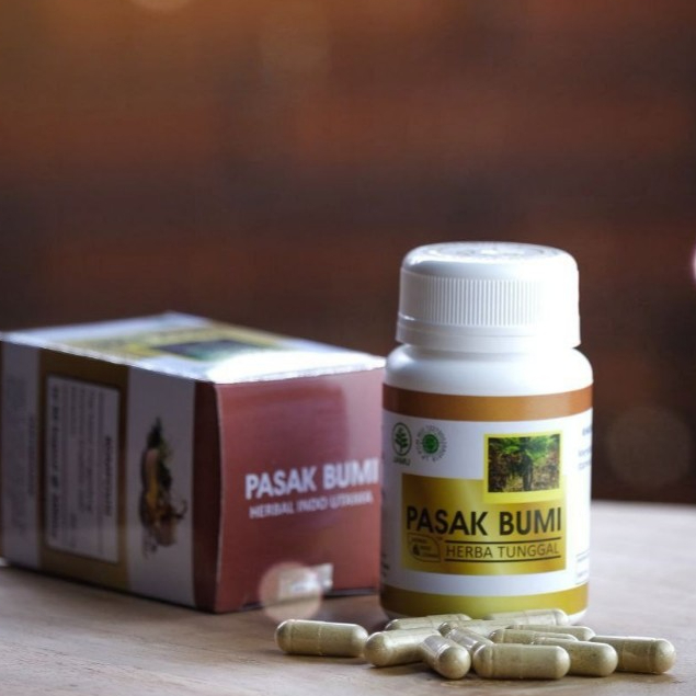 HERBAL INDO UTAMA - Kapsul Pasak Bumi atau Tongkat Ali isi 60 Kapsul - Pasak Bumi Kalimantan