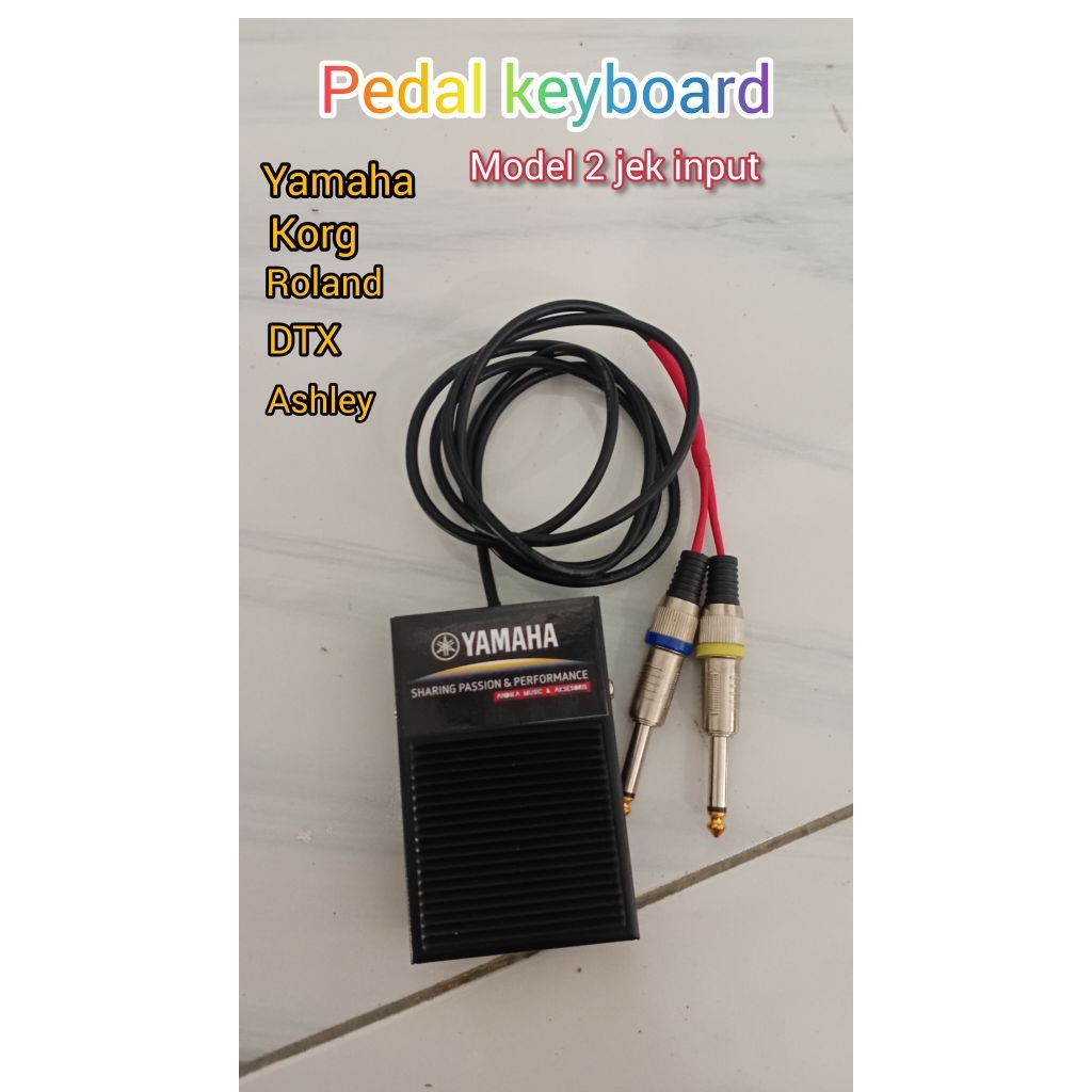 pedal sustain 2 input keyboard yamaha,korg,roland,mulrypad dtx ashley dll