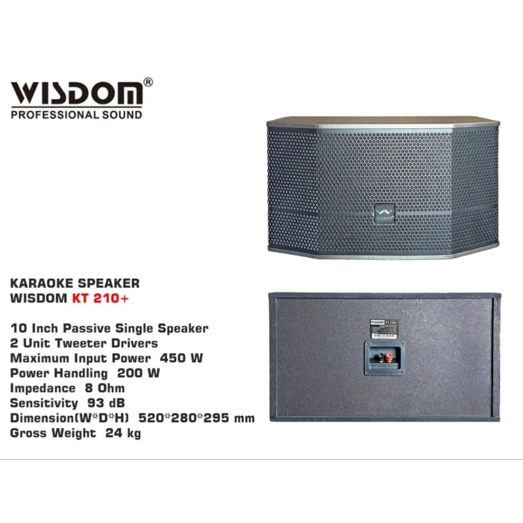 Speaker karaoke pasif wisdom KT 210+ 10inch original