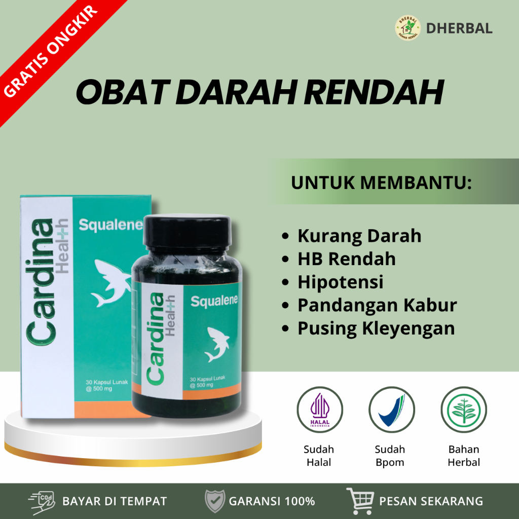 Obat Darah Rendah, Obat Kurang Darah, Obat Penambah Darah Rendah, Obat HB Darah Rendah, Obat Hipoten