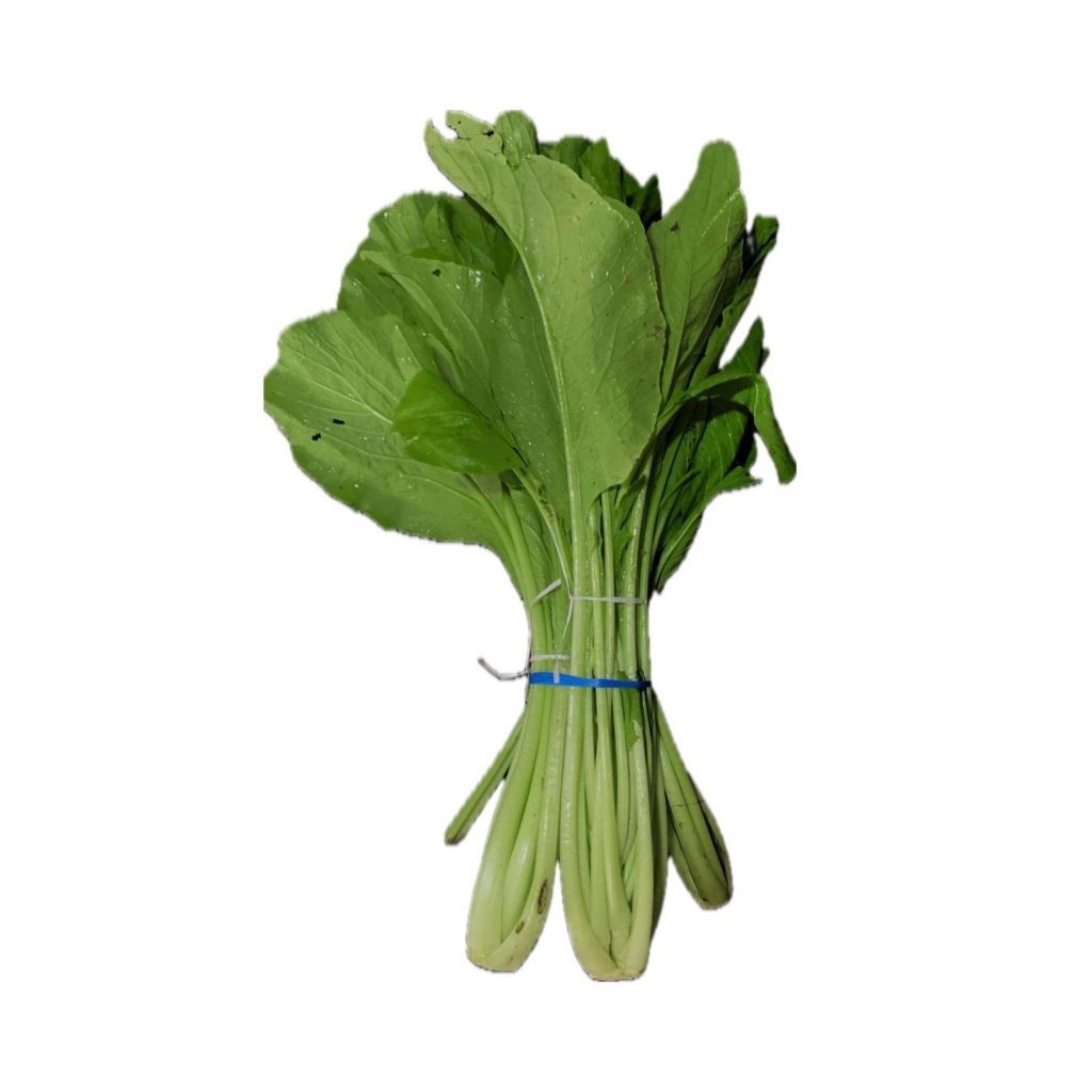 Sawi Hijau 1 Ikat sedang