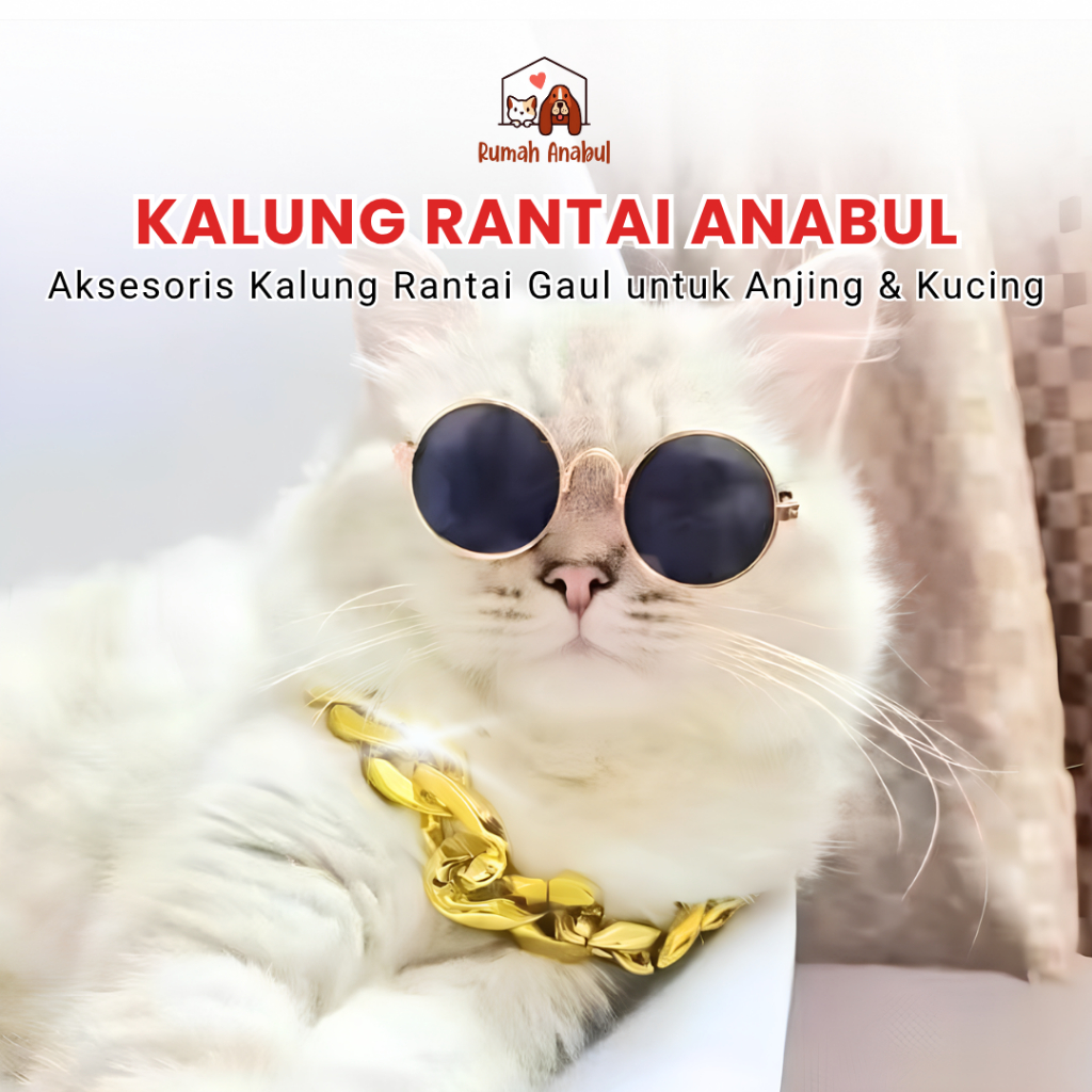Rantai Kalung Leher Stainless - Rantai Besi Gold - Buzz Gold Chain - Kalung Rantai Gangster Anjing K