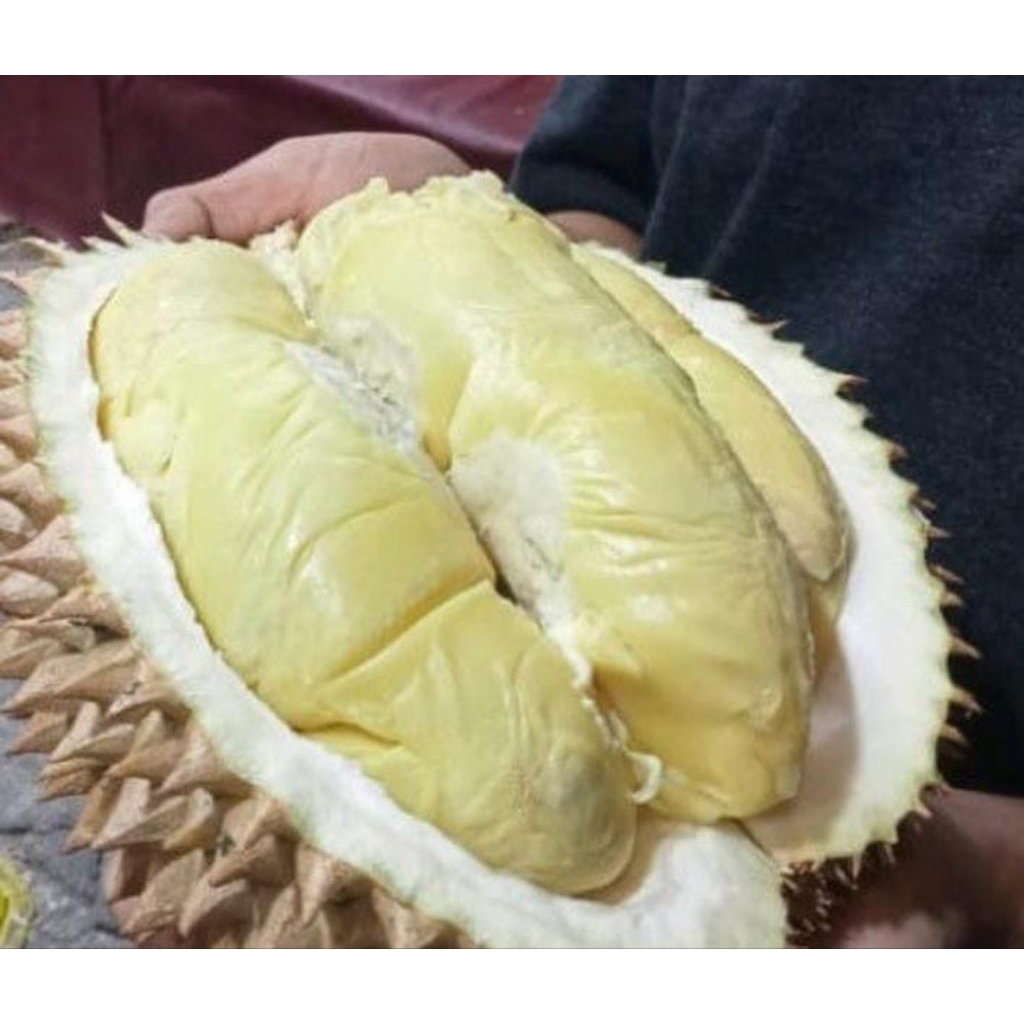 DURIAN MONTONG KOPAS 1KG//PALEMBANG