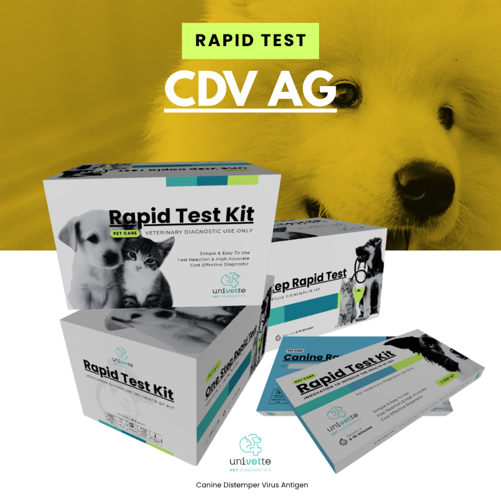 5 PCS/BOX : CDV Ag Rapid Test Kit/Canine Distemper Virus Antigen/Pet Care/Canine Rapid Test/Test Cep