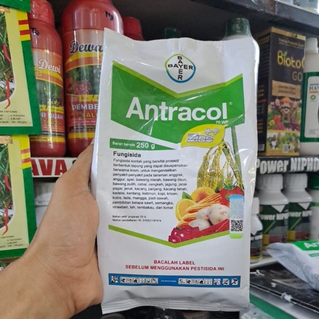Fungisida Antracol 250gr