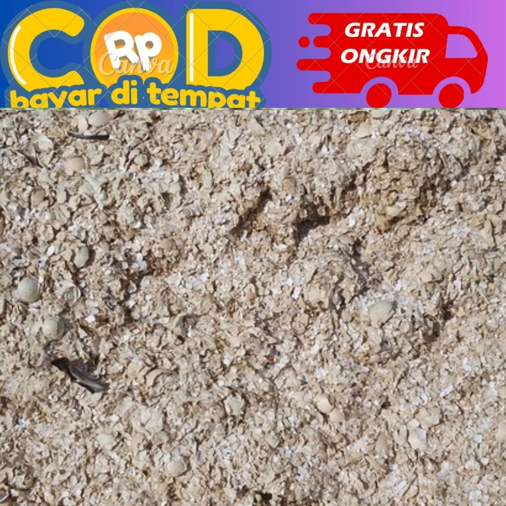 cangkang telur berat 1 kg