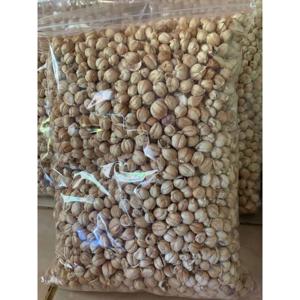 Kapulaga Asli, Rasa Yang Khas, Sehat Dan Lezat, Pasti Beli Lagi