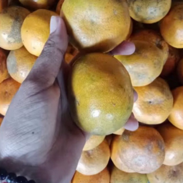 Jeruk Bali Segar Pasar Induk Instant 500g - Pasar Kuta