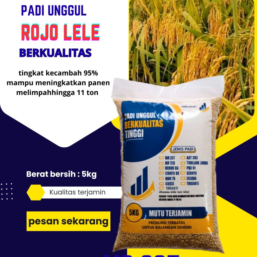 BENIH PADI UNGGUL ROJOLELE KEMADAN 5KG
