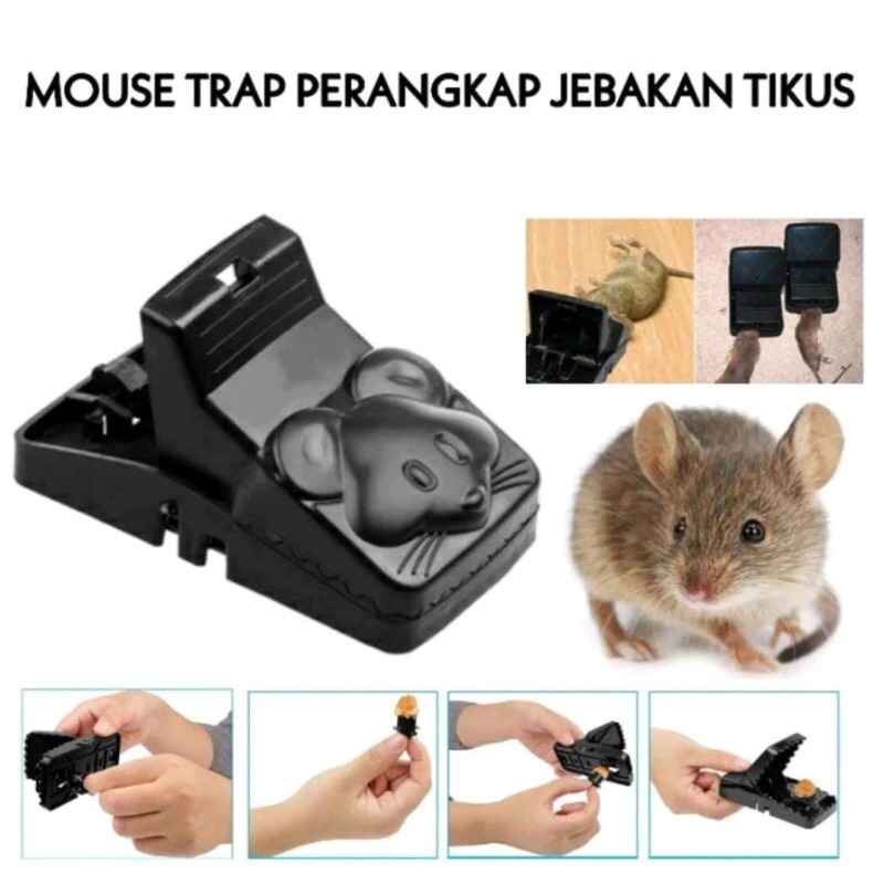 perangkap tikus model jepit perangkap tikus mouse srap