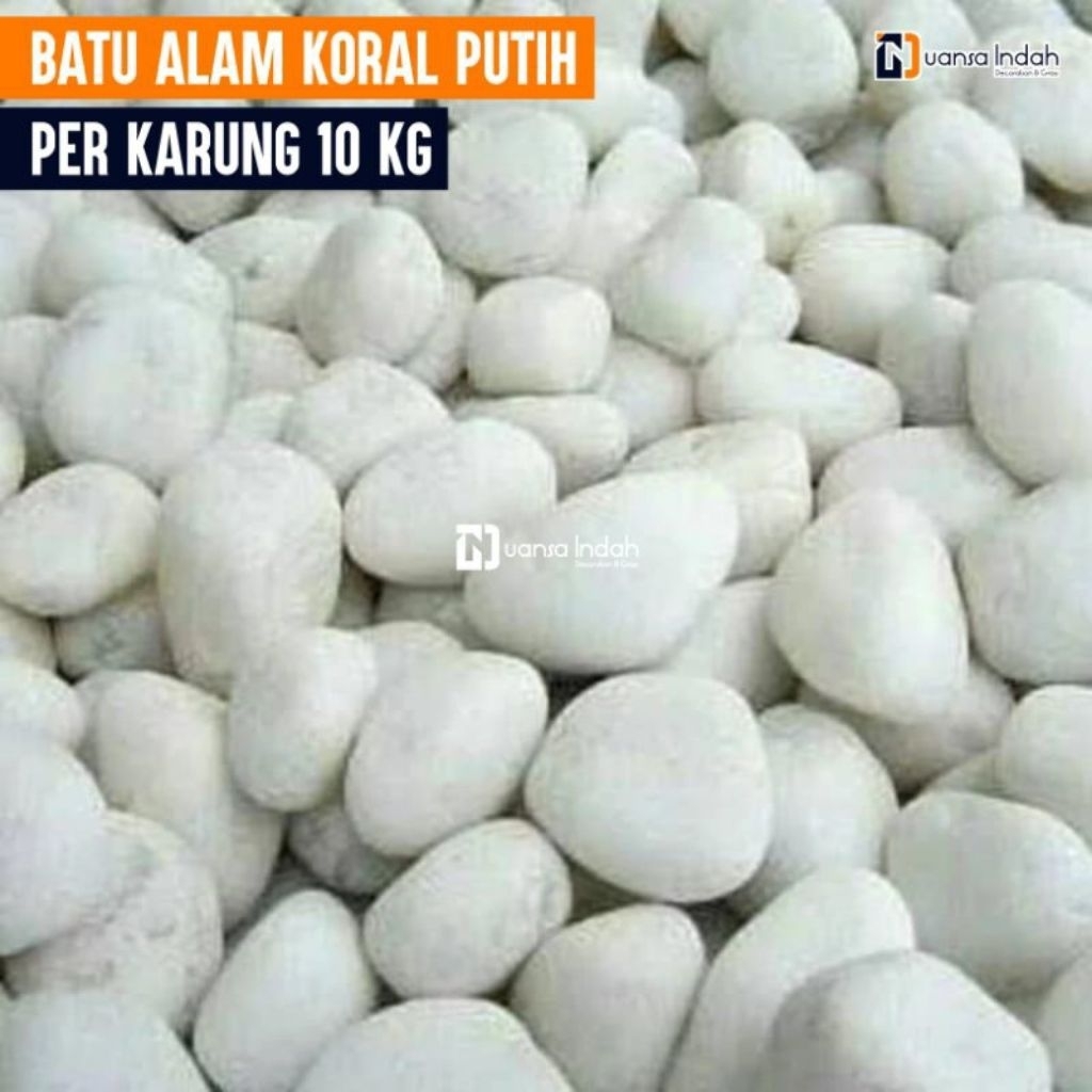 Batu Alam Koral Putih 10kg