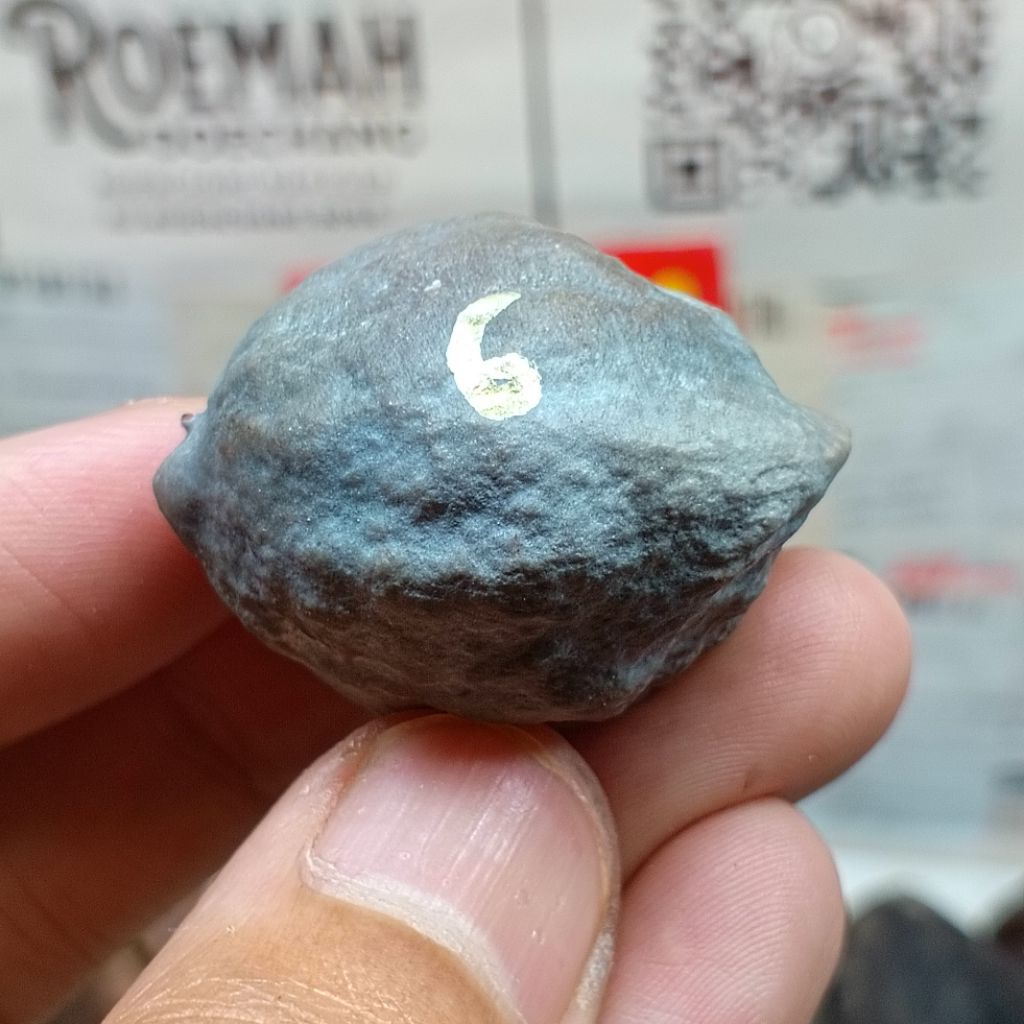 Muncang Adu Jabra Bella kode 6