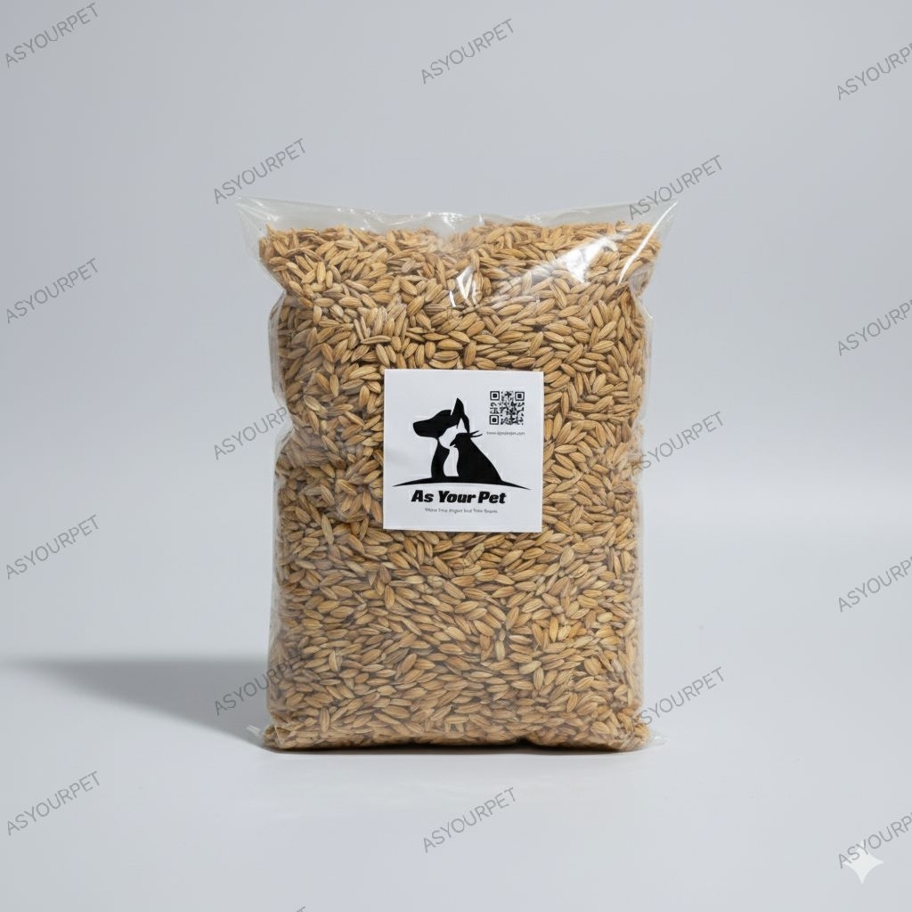 AYP Gabah Benih Bibit Padi Beras Jepang Japonica Koshihikari Taiken Super Unggulan Import Bersih Ori