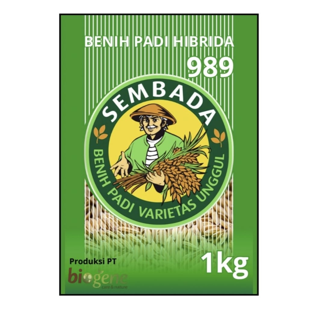 Bibit padi unggul  hibrida SEMBADA 989 KEMASAN 1 KG