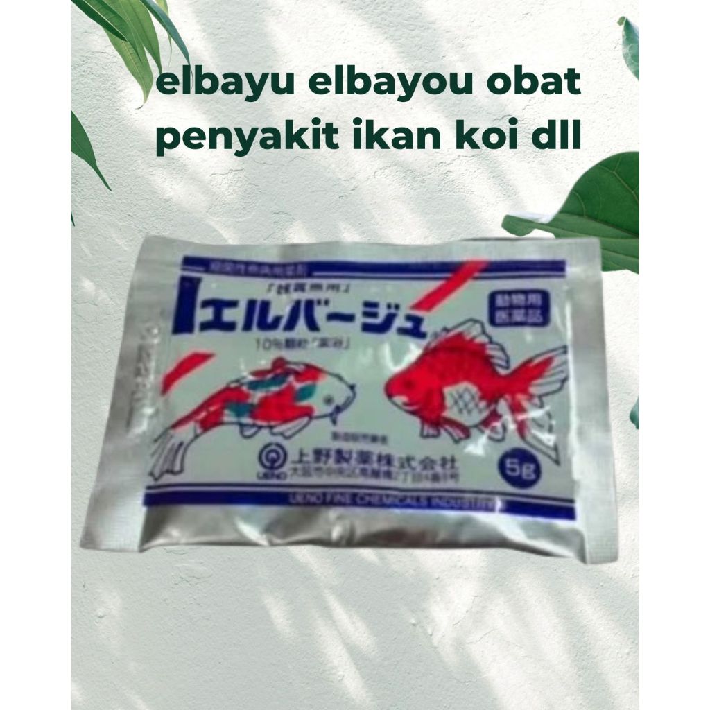 Elbayu Untuk Obat Penyakit Pada Ikan Koi Dll