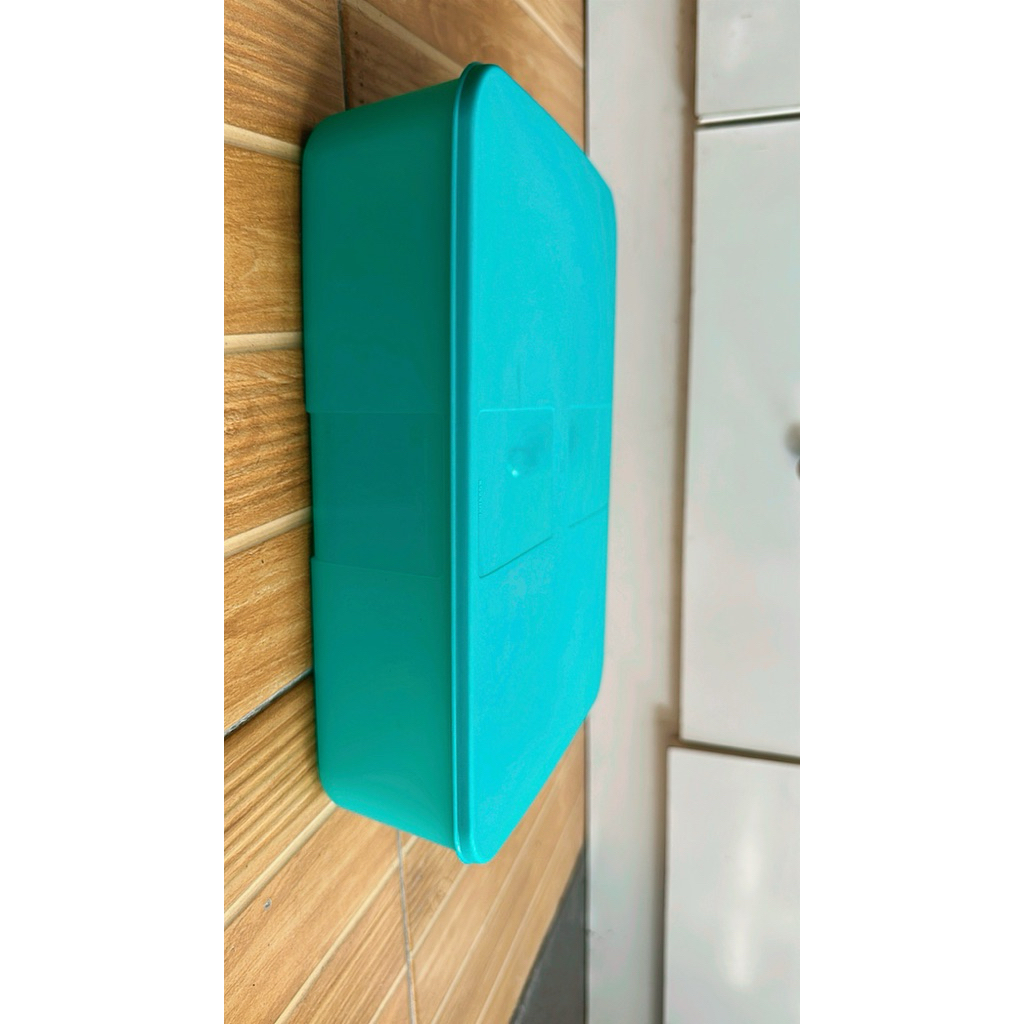 Freezer Mate Blue Tupperware 3,1 L, Wadah Ikan Wadah Sayur Wadah Daging, Wadah Besar