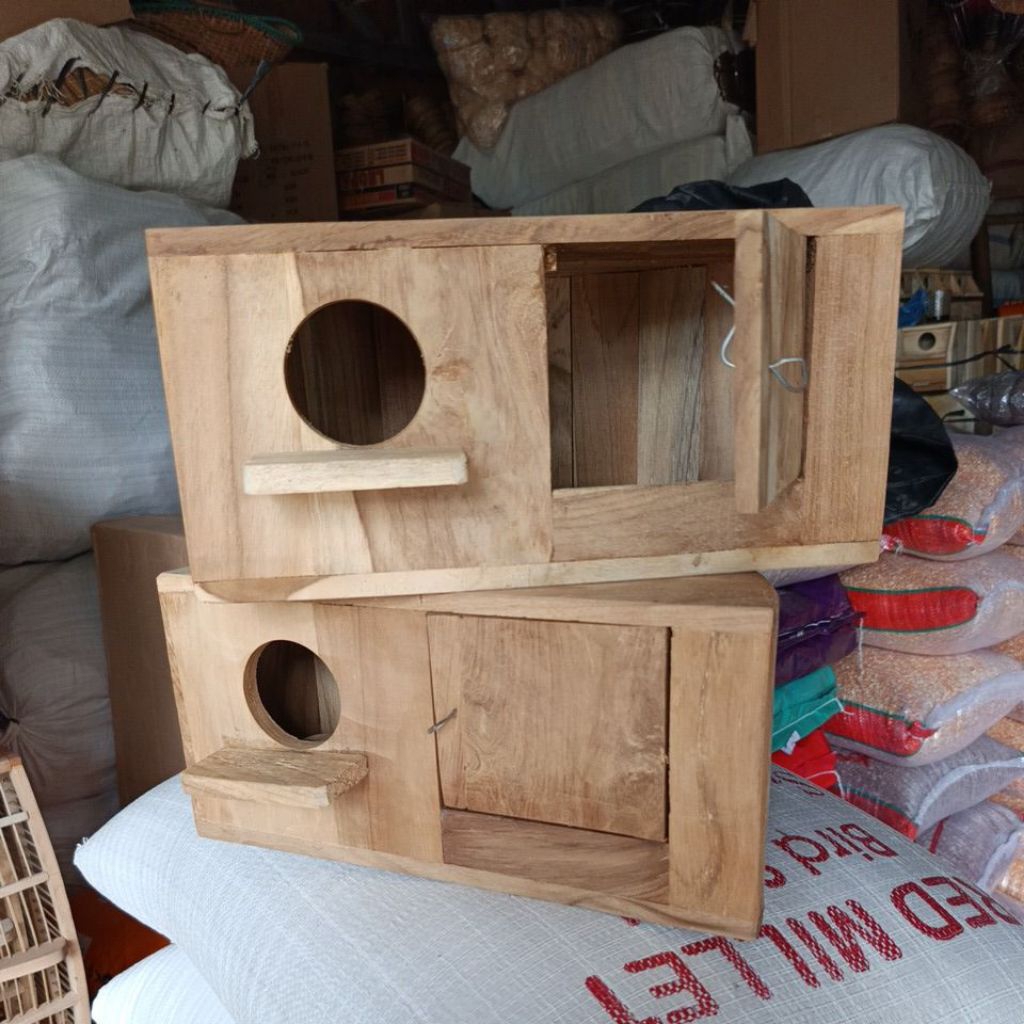 Glodok oval/setengah jati lingkaran lovebird