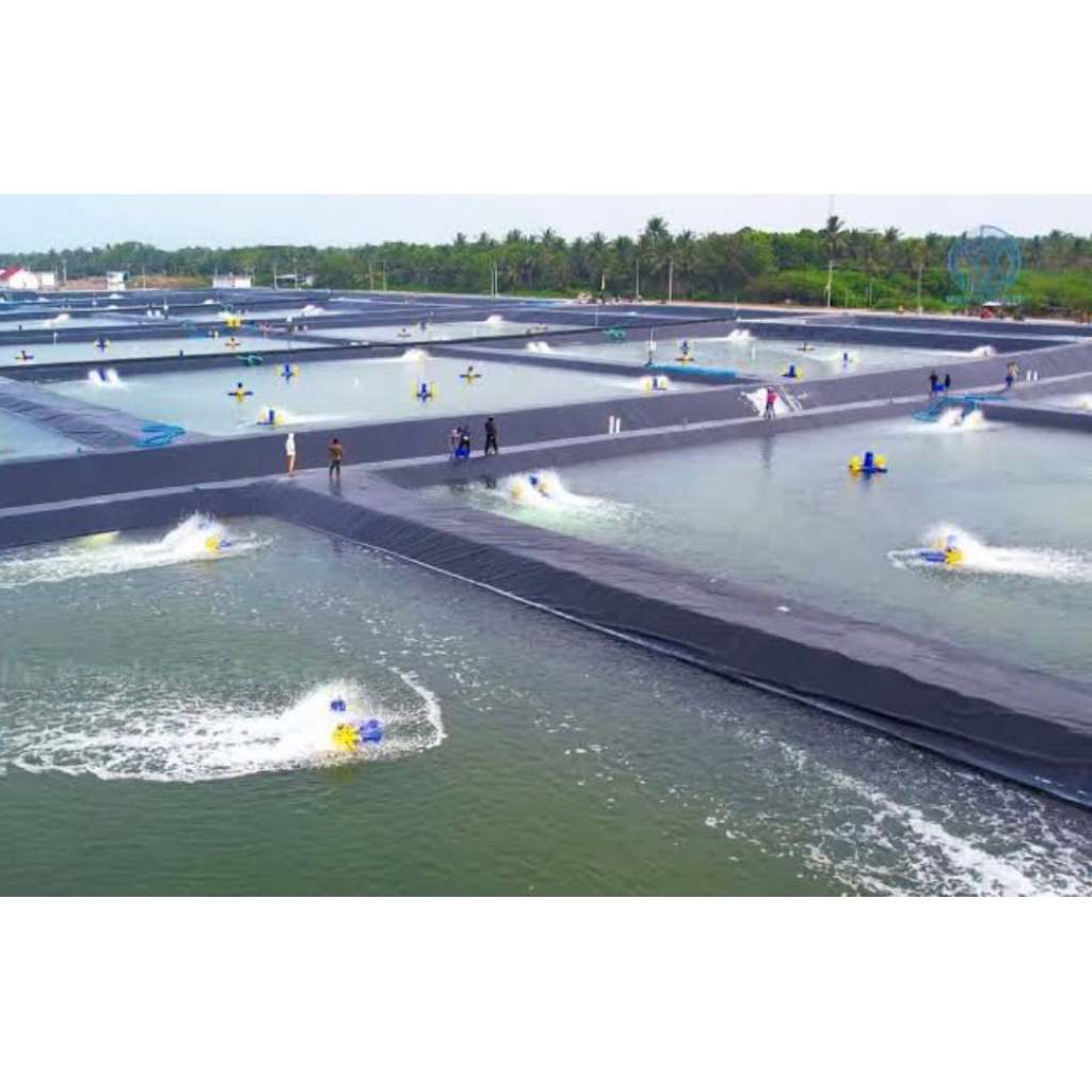 Plastik HDPE Geomembran 1roll (300micron)/pengganti terpal kolam