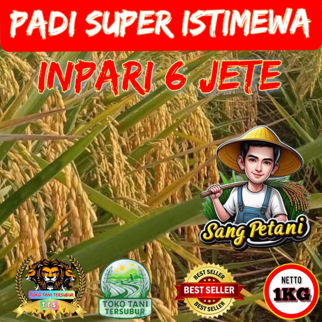 (1KG)PADI SUPER ISTIMEWA INPARI 6 JETE KUALITAS TAHAN REBAH