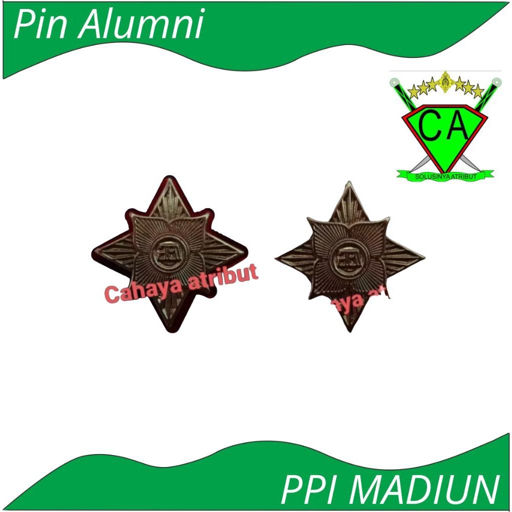 Pin Alumni API/PPI Madiun