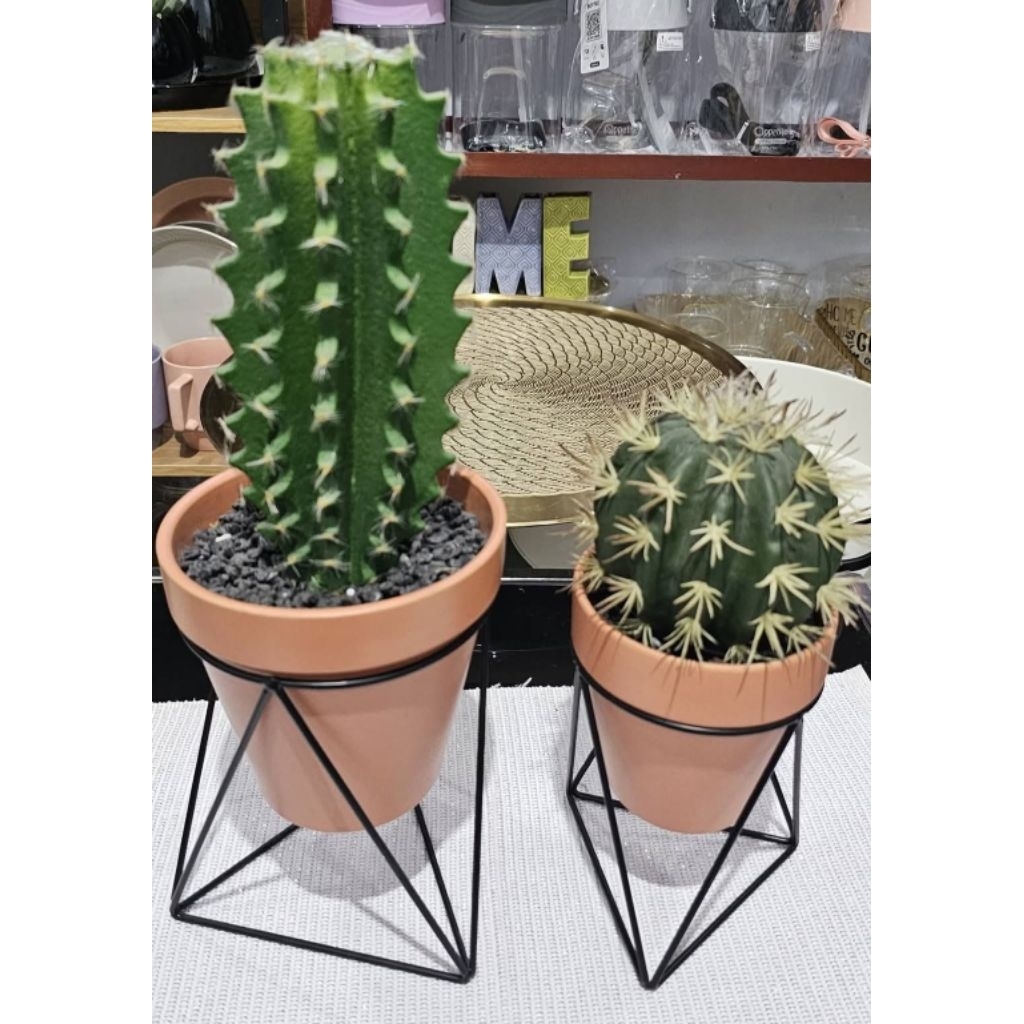 Informa artificial sukulen hias