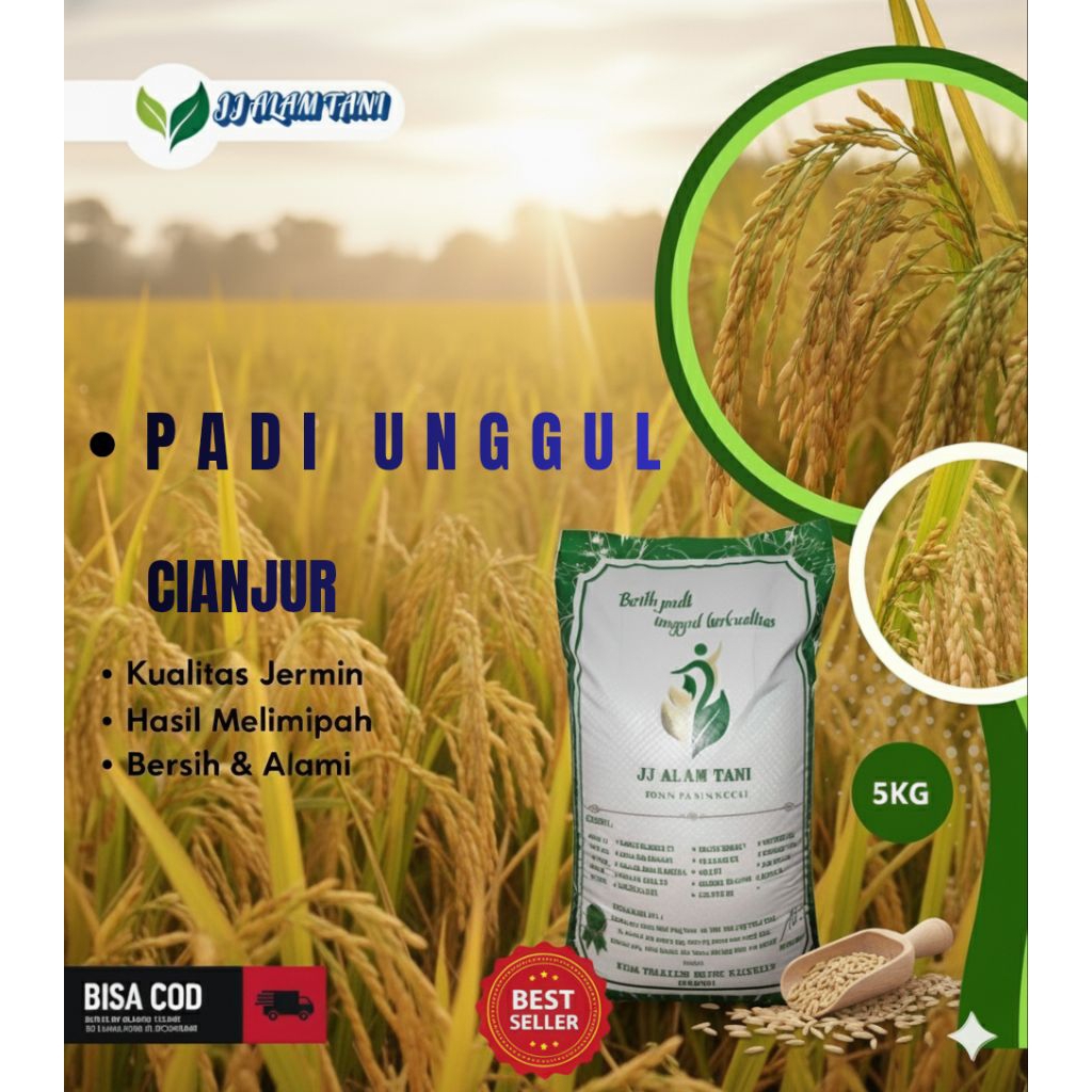 BENIH PADI UNGGUL BERKUALITAS PADI CIANJUR/ LESTI KEMASAN 5KG ORIGINAL