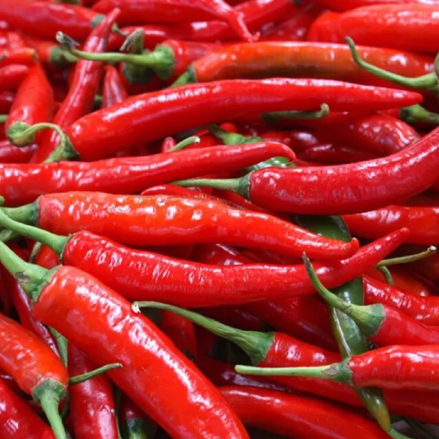 Cabe Merah Besar 1kg