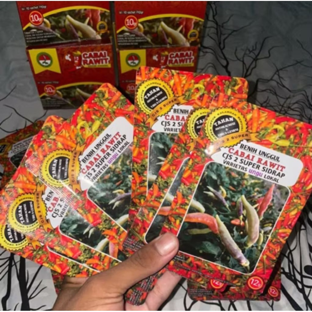 bibit cabe salo dua CJS 2 SUPER SIDRAP 12g