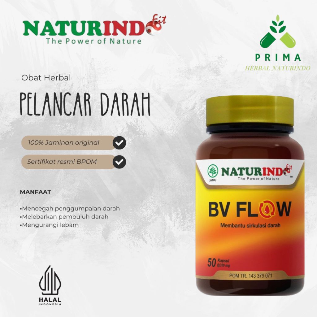 Herbal Sirkulasi Darah Terhambat Bv Flow naturindo