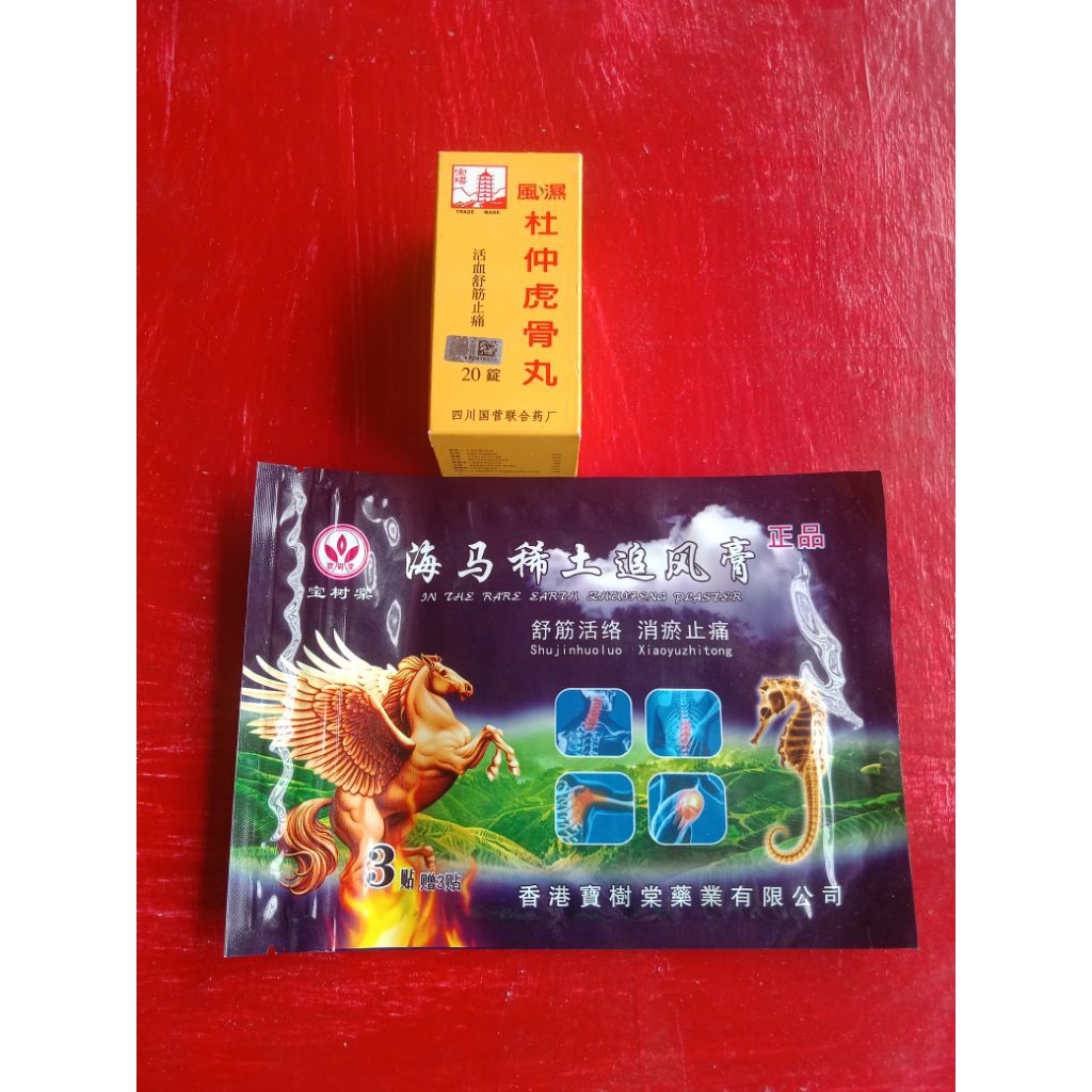 KOYO PEGAL PIEN TZE HUANG YI YONG LENG FU TIE