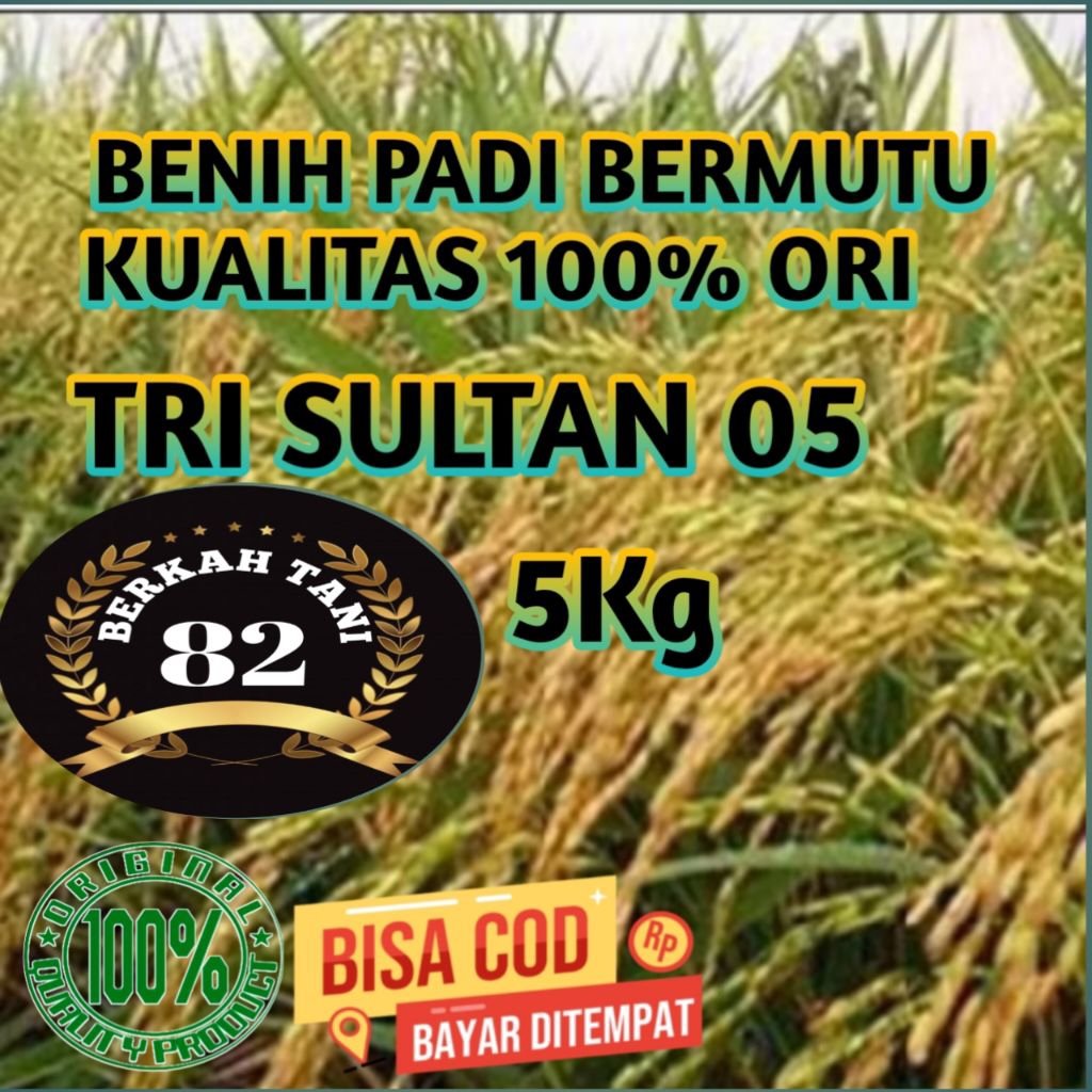 BENIH PADI TRI SULTAN 05 BENIH PADI SUPER UNGGUL ORIGINAL KEMASAN 5KG