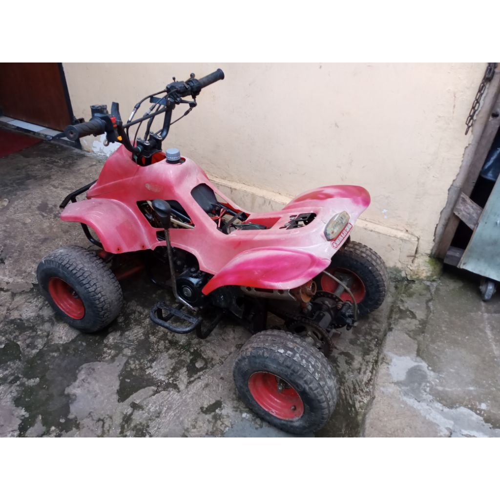 Mini ATV Speedy Matic 110 cc Ring 7
