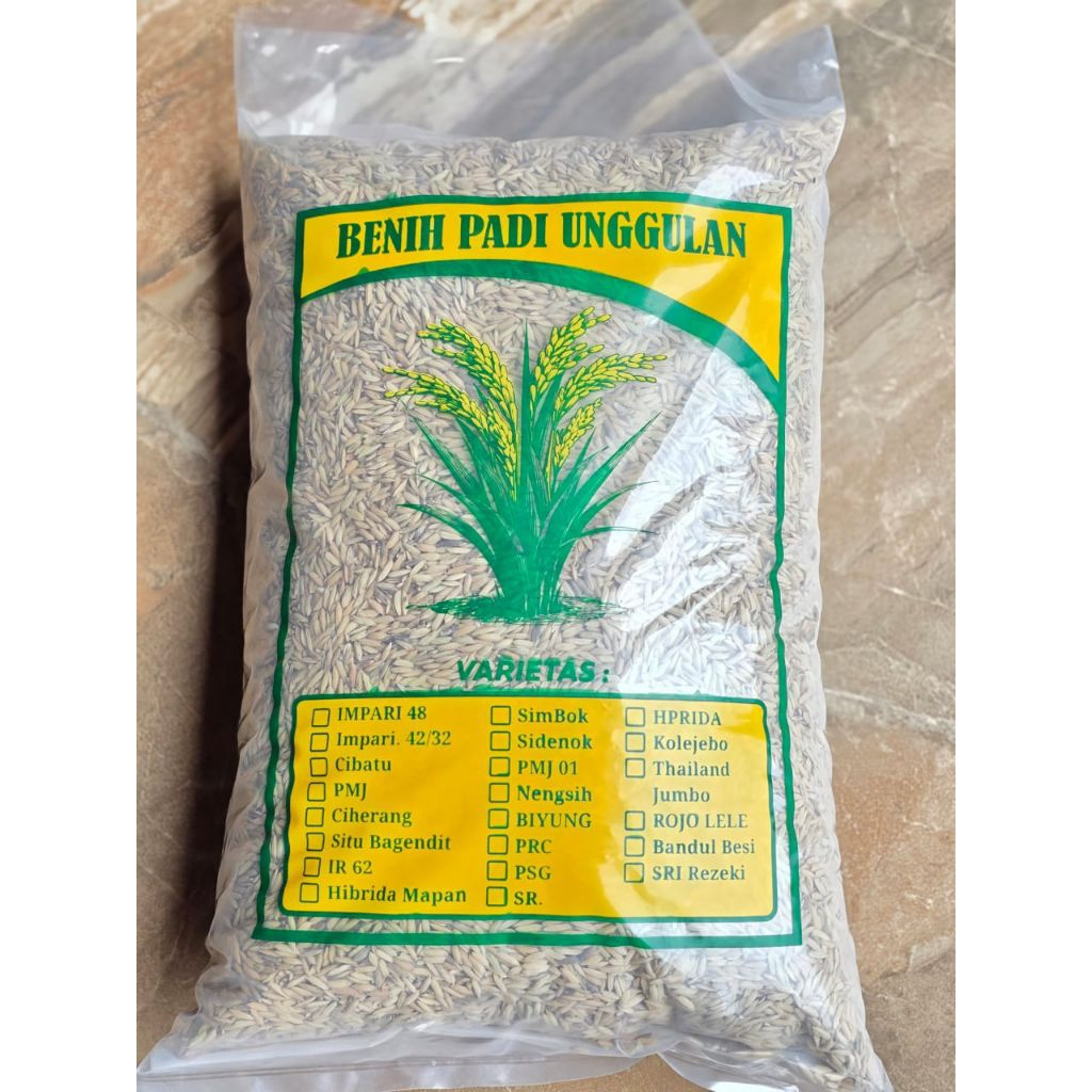 BENIH PADI M70D PADI UNGGUL KUALITAS PREMIUM 2KG