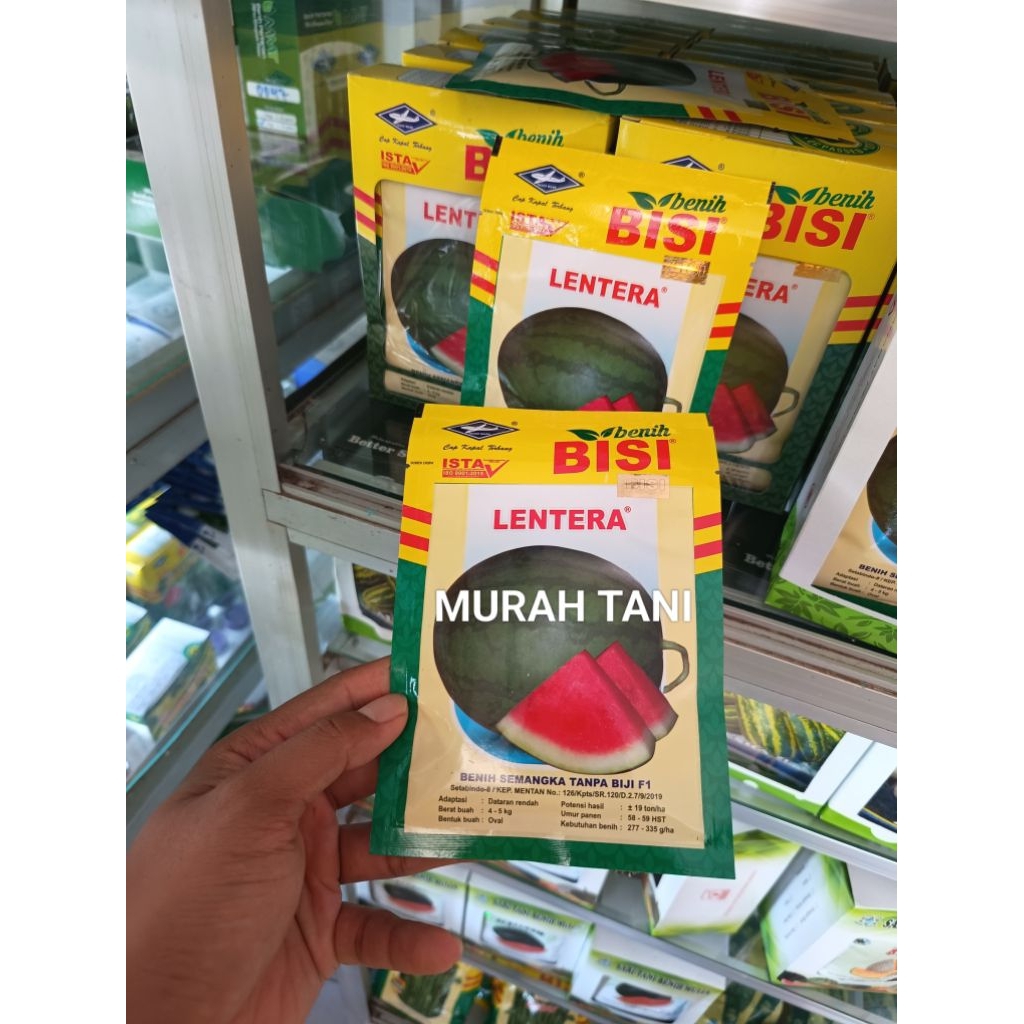 Benih Bibit Semangka Lonjong Oval Non Biji Lentera F1 (Disukai Pasar) Isi 20 Gram Kadaluarsa 2026 Te